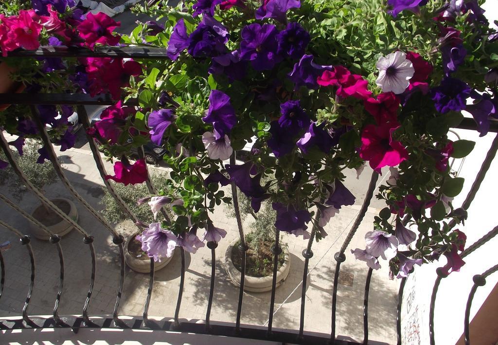 B&B Al Vecchio Borgo Барлетта Екстер'єр фото
